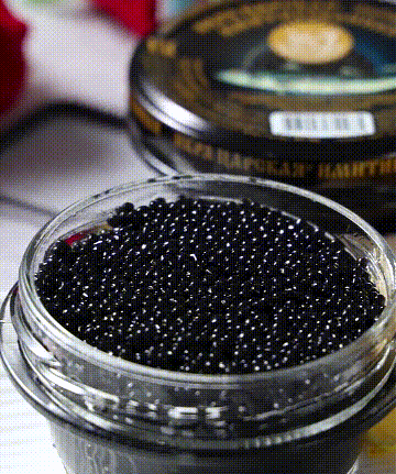 2024marpm6c4093dbc9a3e0658aa727b.gif