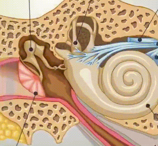1782287727500859.gif